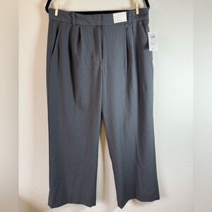 Abercrombie & Fitch Gray Wide Leg Pants Size 30 Short NWT Pleated Work Trouser